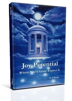 Joy Potential: Where You'd Least Expect It